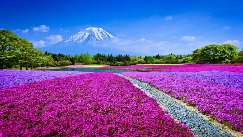 Honoring Mary Magdalene and the Sacred&nbsp;Feminine